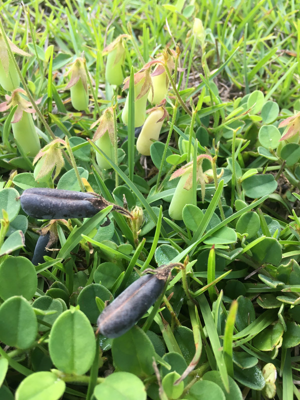 46D2CD64-1086-4494-8C21-4232DE50C809