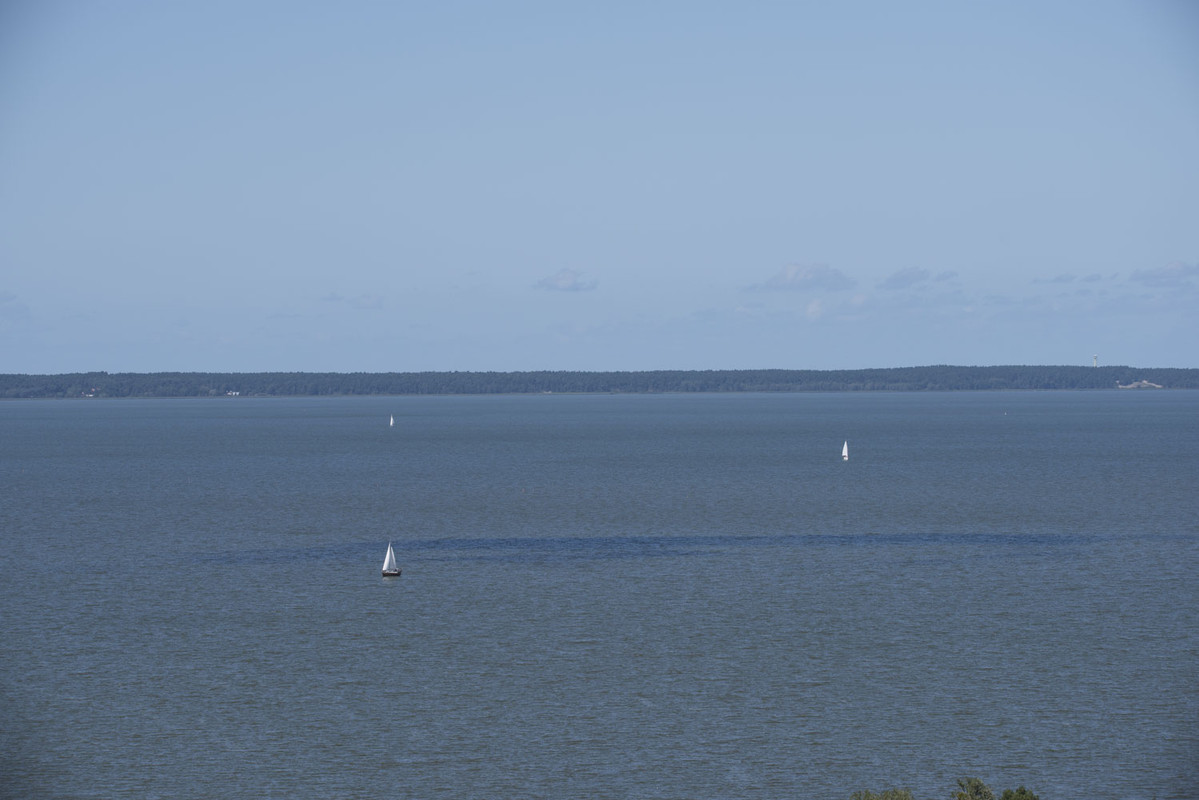 29.18 - NEW_9810 (Konfiturek)