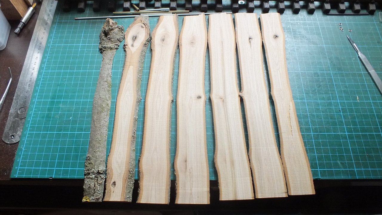 Parkside (135) Esche