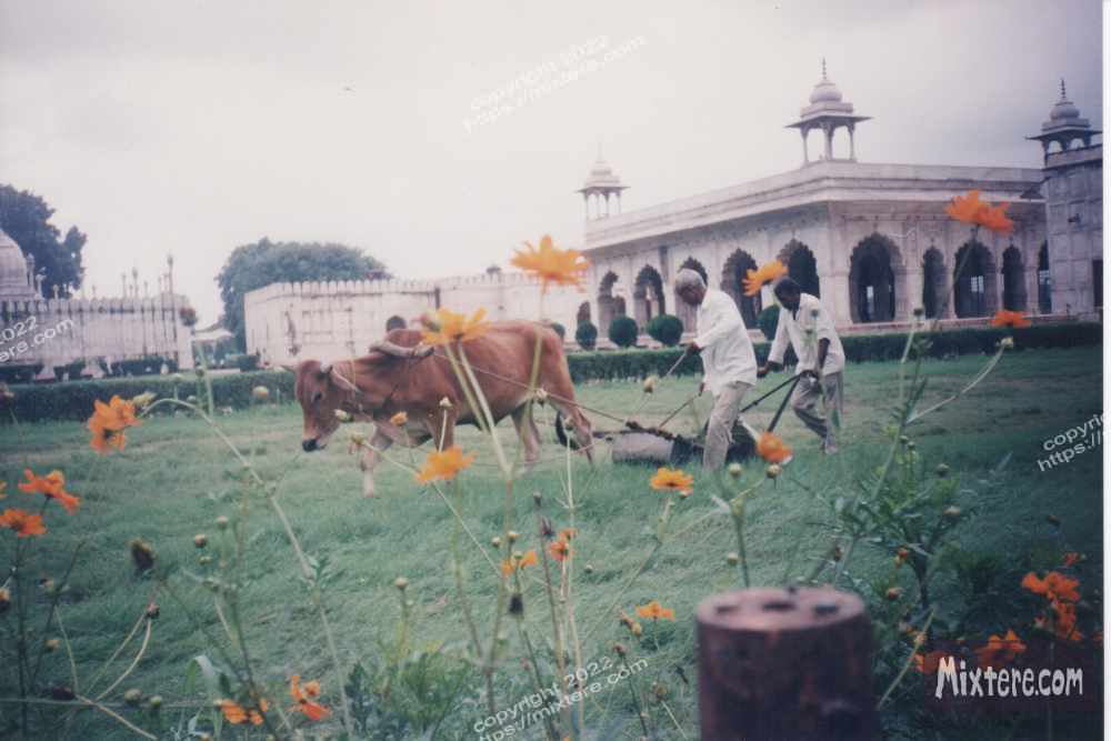 BBG&B1ALittleBackgroundPics - 7