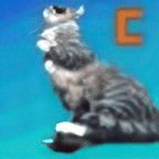 7098-gigapixel-recovery-quality-6x.gif