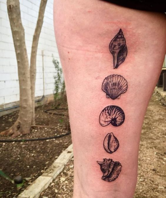 seashell tattoo