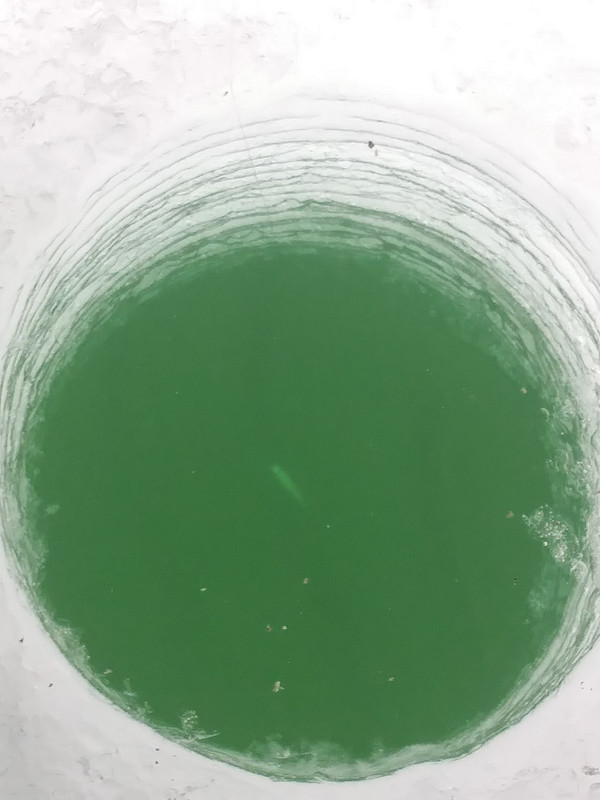 20190205_111229