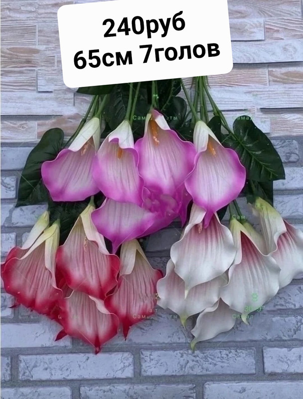 https://i.postimg.cc/JzkzMP7r/IMG-20230218-125710.jpg