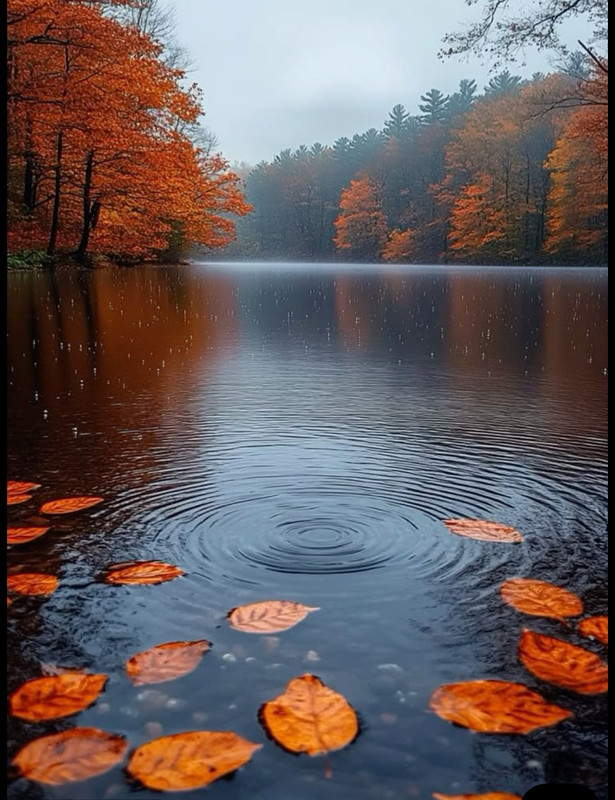 Screenshot_20250925_005539_Pinterest