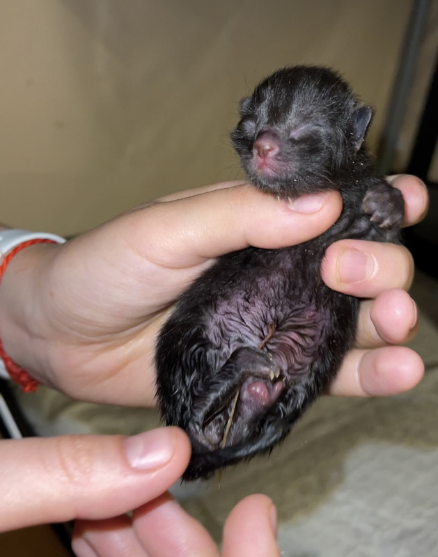 C226FA2D-50B7-4978-BB01-B1815F7FF277