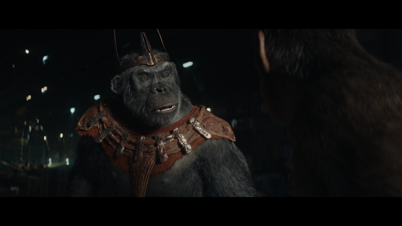 Kingdom-of-the-Planet-of-the-Apes-DV-2