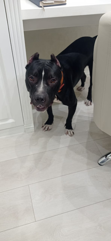 C9285447-B988-40CC-804E-22FBF5B173C8