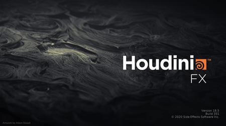 SideFX Houdini FX 18.5.596 (x64)