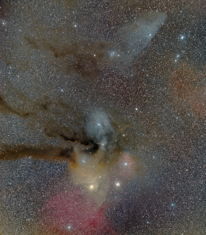 Rho-1T.jpg