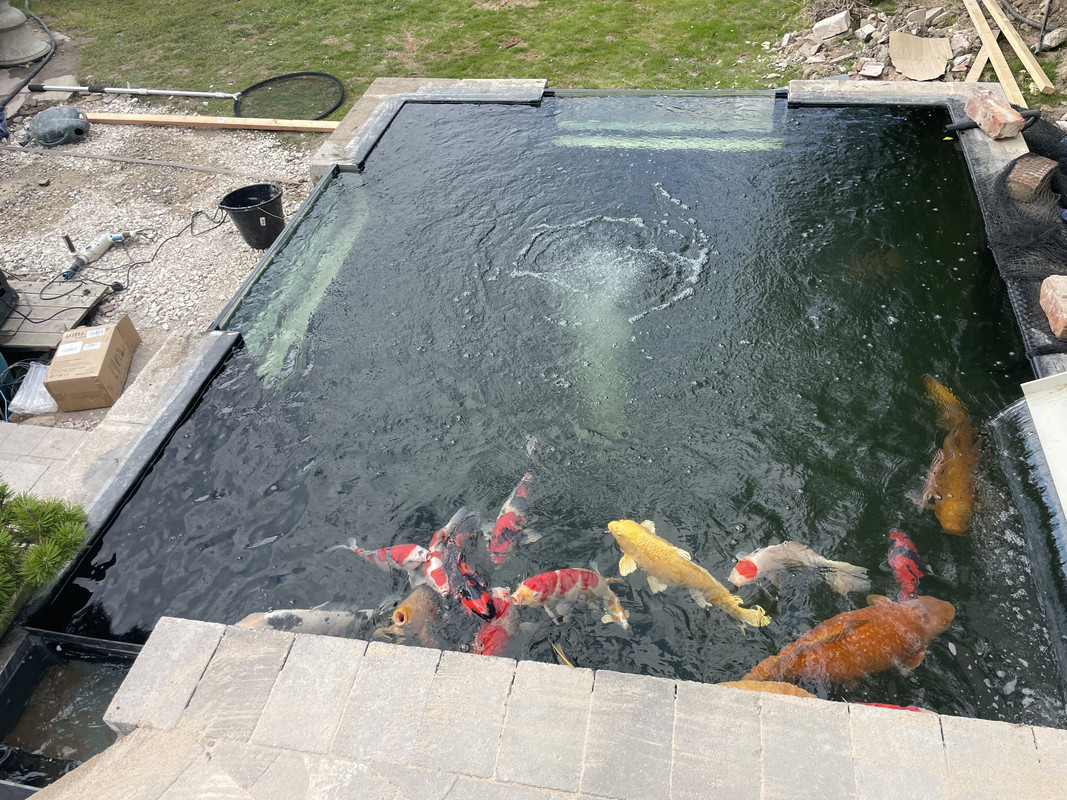 4BEF3E2E-337D-4ECE-B2C1-5452751E301D