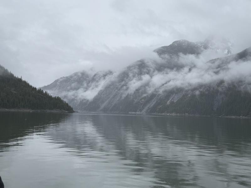 IMG-1804.jpg