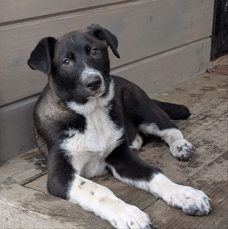 photo_7_2025-01-07_13-23-41