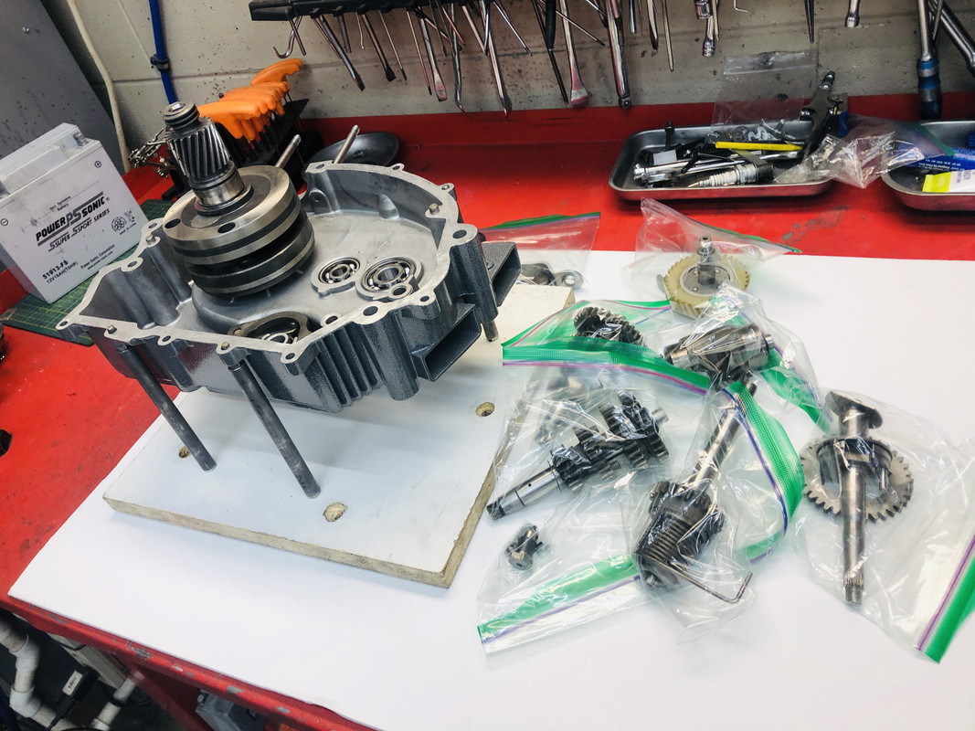 5ED66F41-1789-4A15-A1B5-534B507BA606