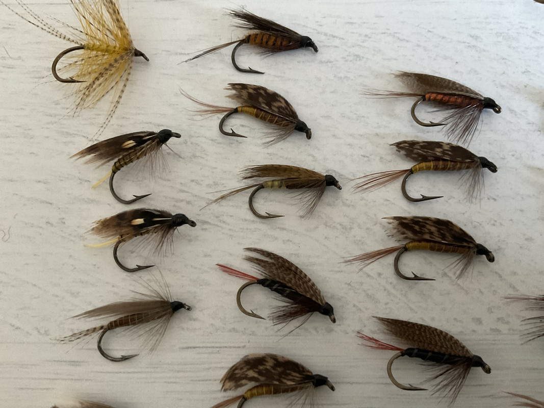 BA85E6DB-3900-4E98-91CA-700709752ECC