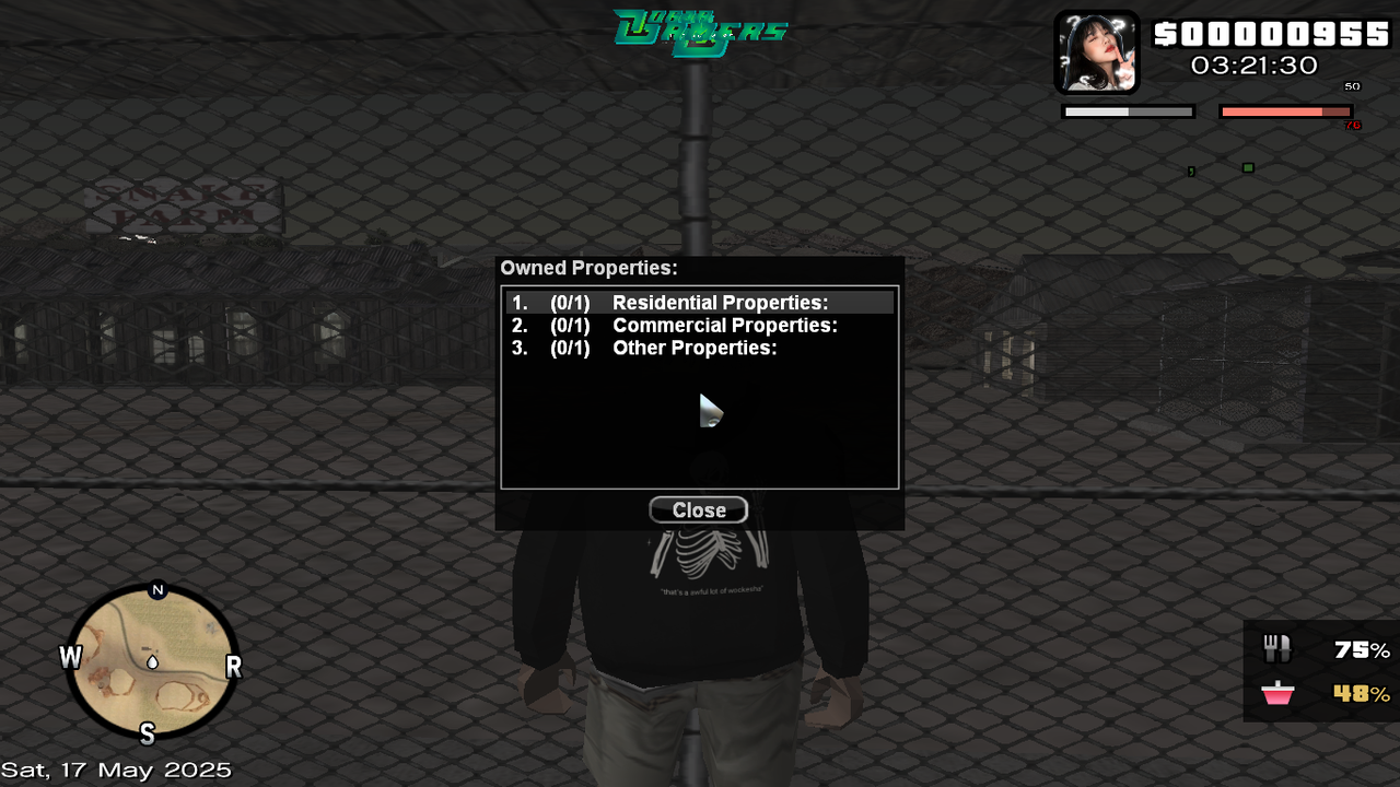 samp-17-05-2025-03-21-31.png