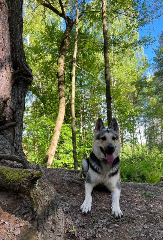 iSVH2rT3mqdF4cIHALmRp0O1wHbOc7SMdzWNyvxNUIluiQqzL_PmHRa7IzlKYh2uaG28-juoleBBqWOCSgYc8OLB