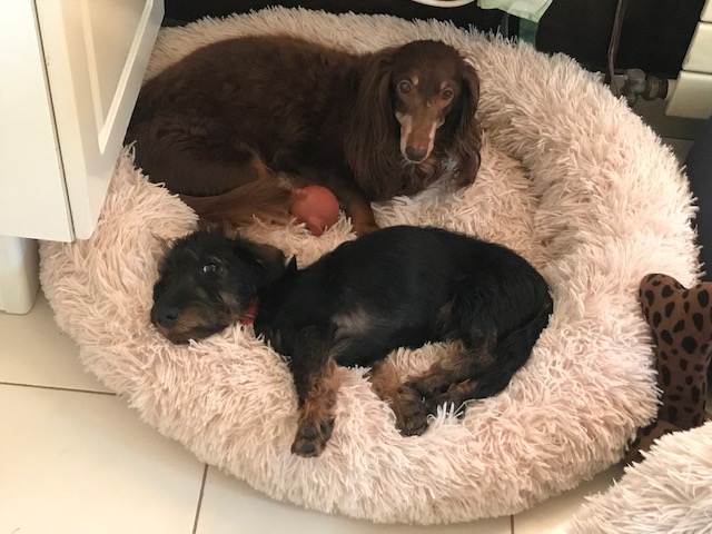 [Image: IMG-3407.jpg]