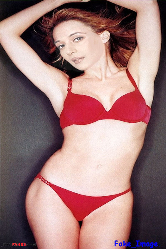 Madhuri_Old_Fake_694