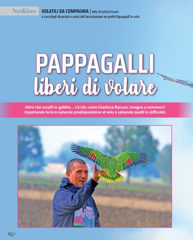 QuattroZampe Nov 2021 (3)