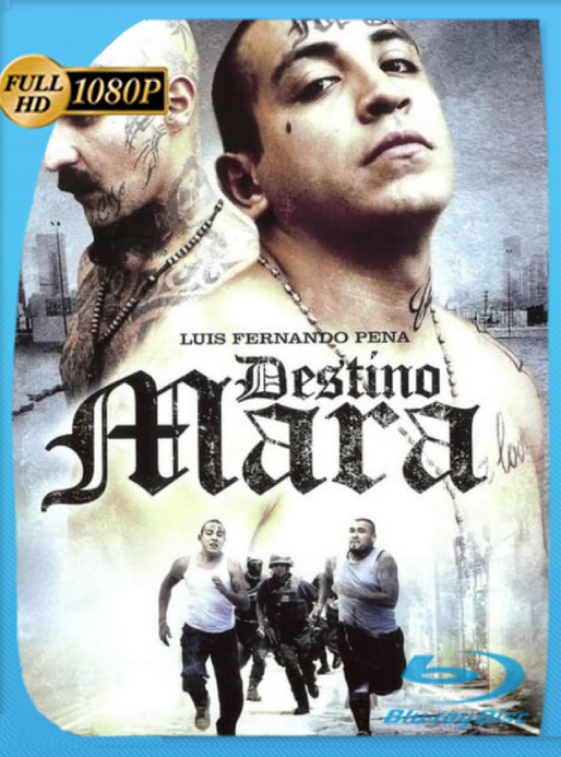 Destino Mara (2010) WEB-DL [1080p] Latino [GoogleDrive]