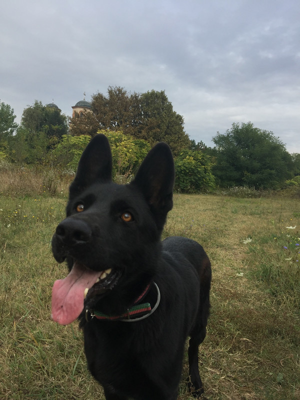 9667C703-A0C5-40C8-82F2-73592ECD98D9