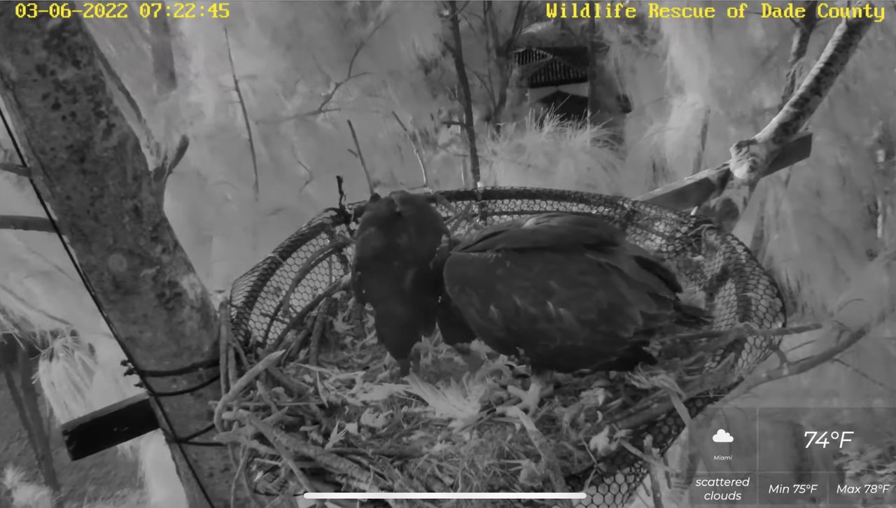 AC89A049-5CD7-4EEE-97DE-C0A79747162D