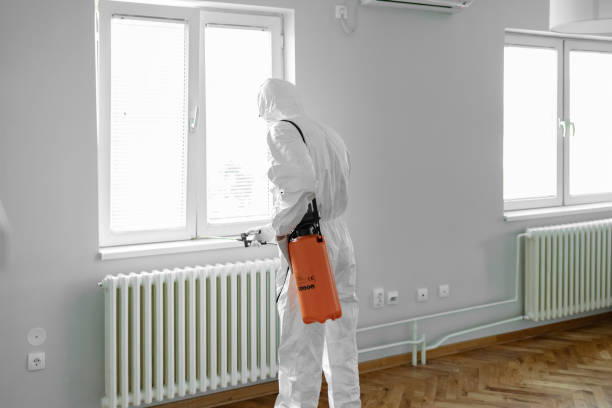 Termite Treatment Kissimmee