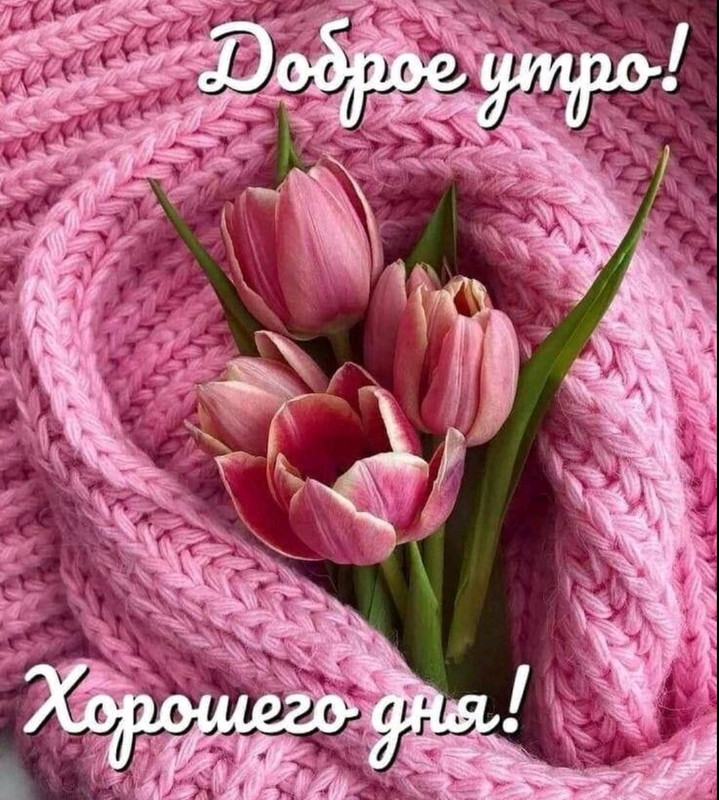 Screenshot-20230216-092606-com-viber-voi