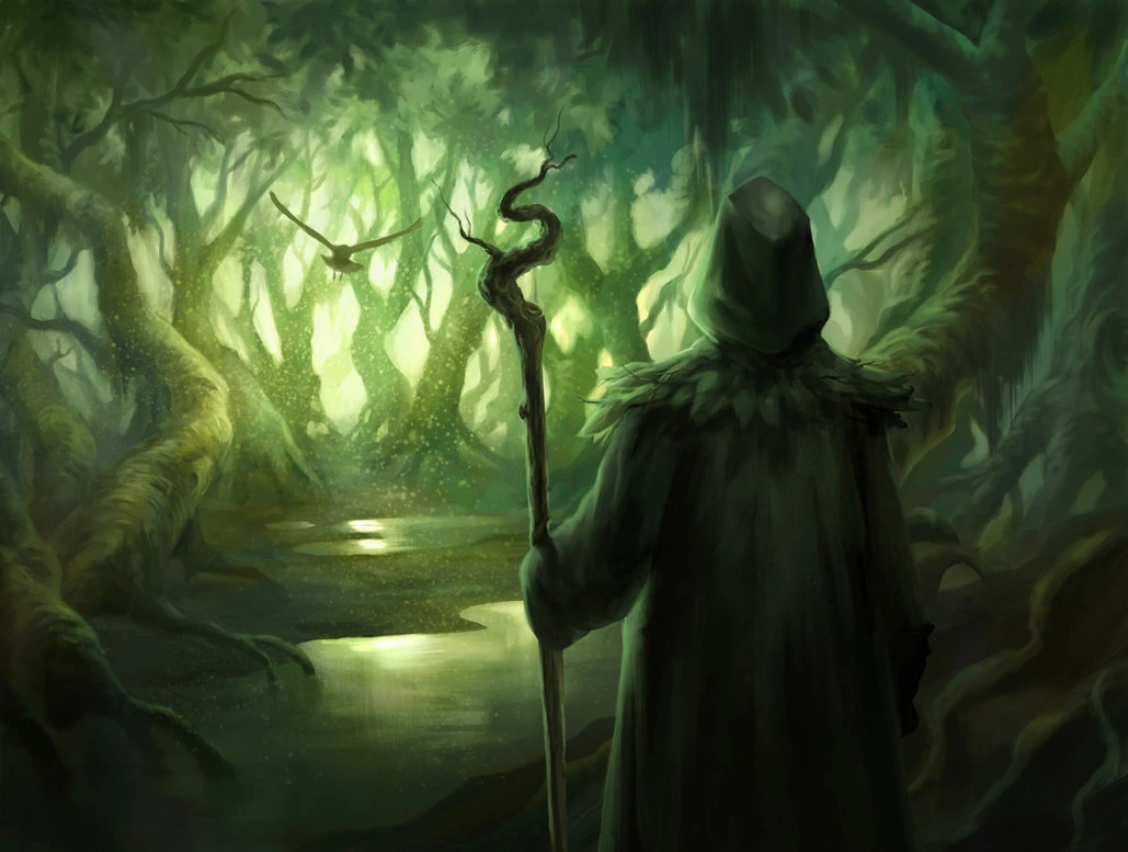 Druid.webp