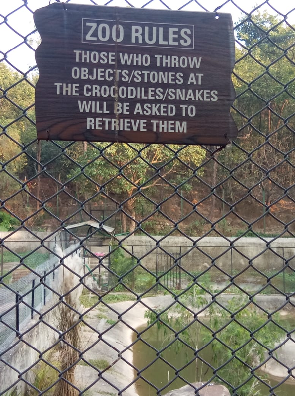 Snakes.png