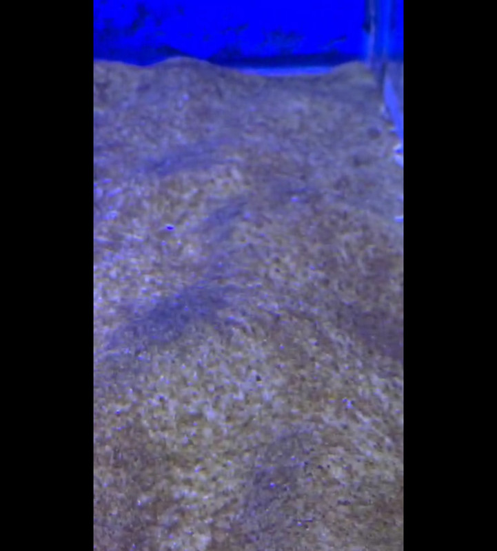 Screenshot 20251206 124919 Whats App