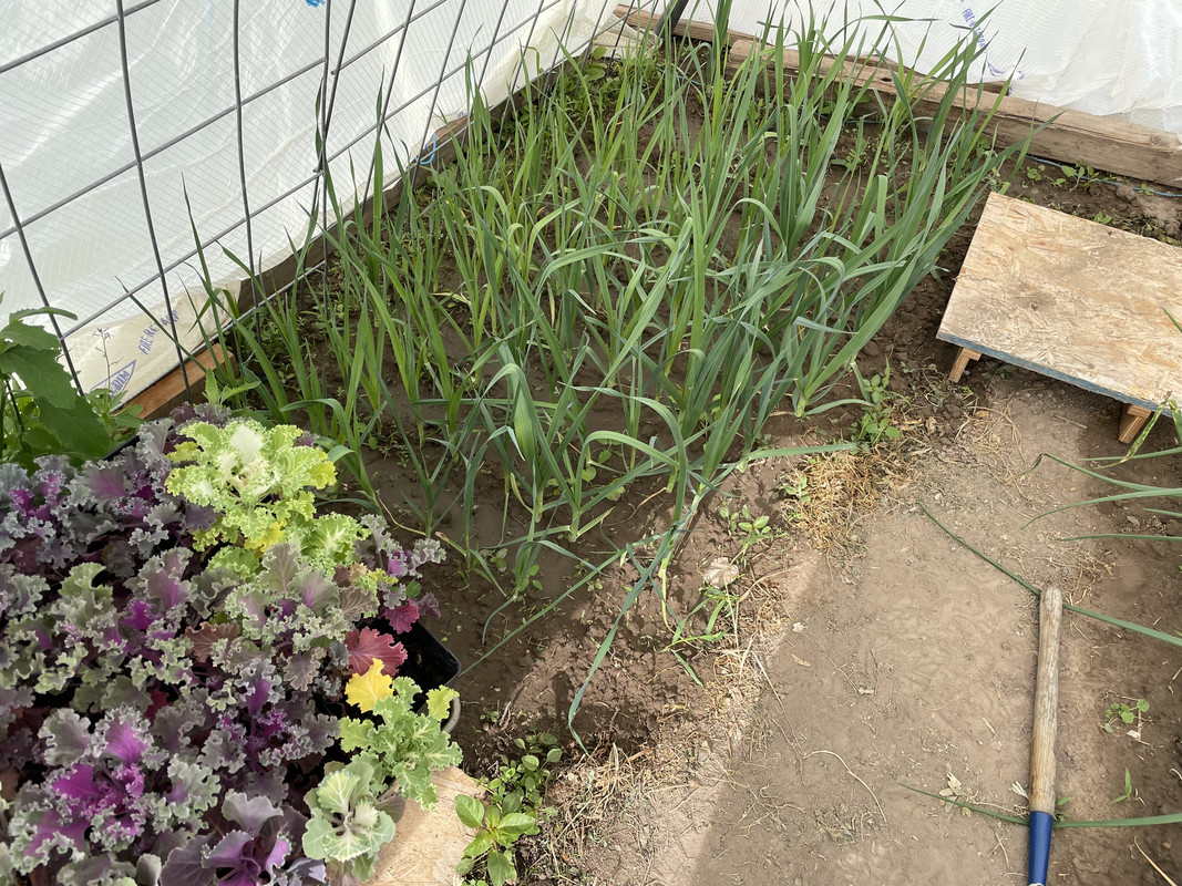 F269ACAE-CCC5-474C-8A93-DCD2A6F20588