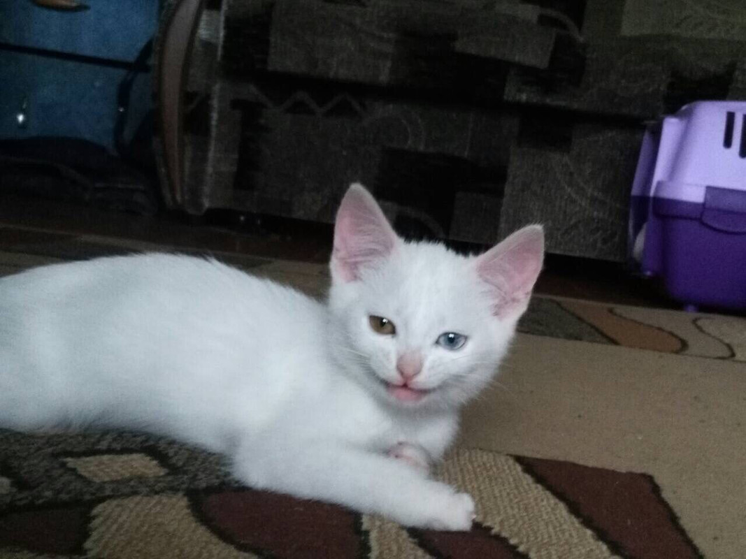 EECCC95A-39FA-423A-BAB1-47B8E0AF3F6D