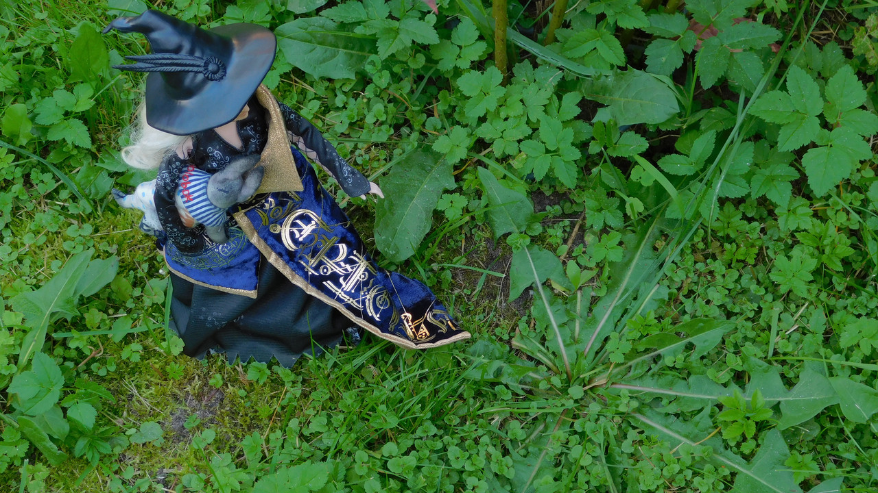 Дачное и  к Хелл сентябрь 2023 135