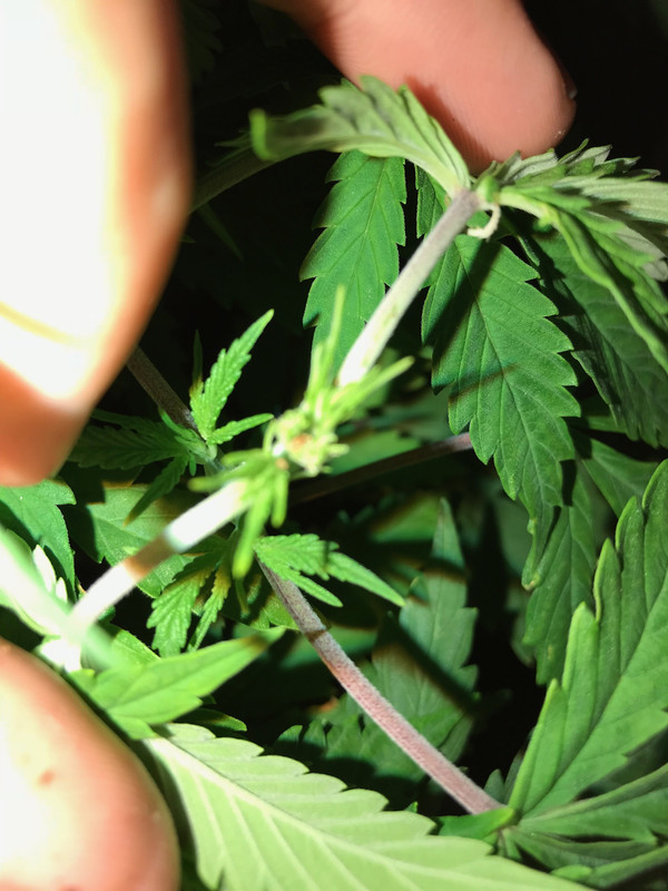 214064CD-12F6-4341-AE95-B3685FF77EA5