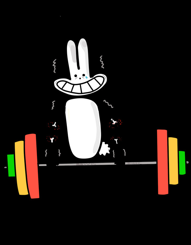 NO PAIN NO GAIN