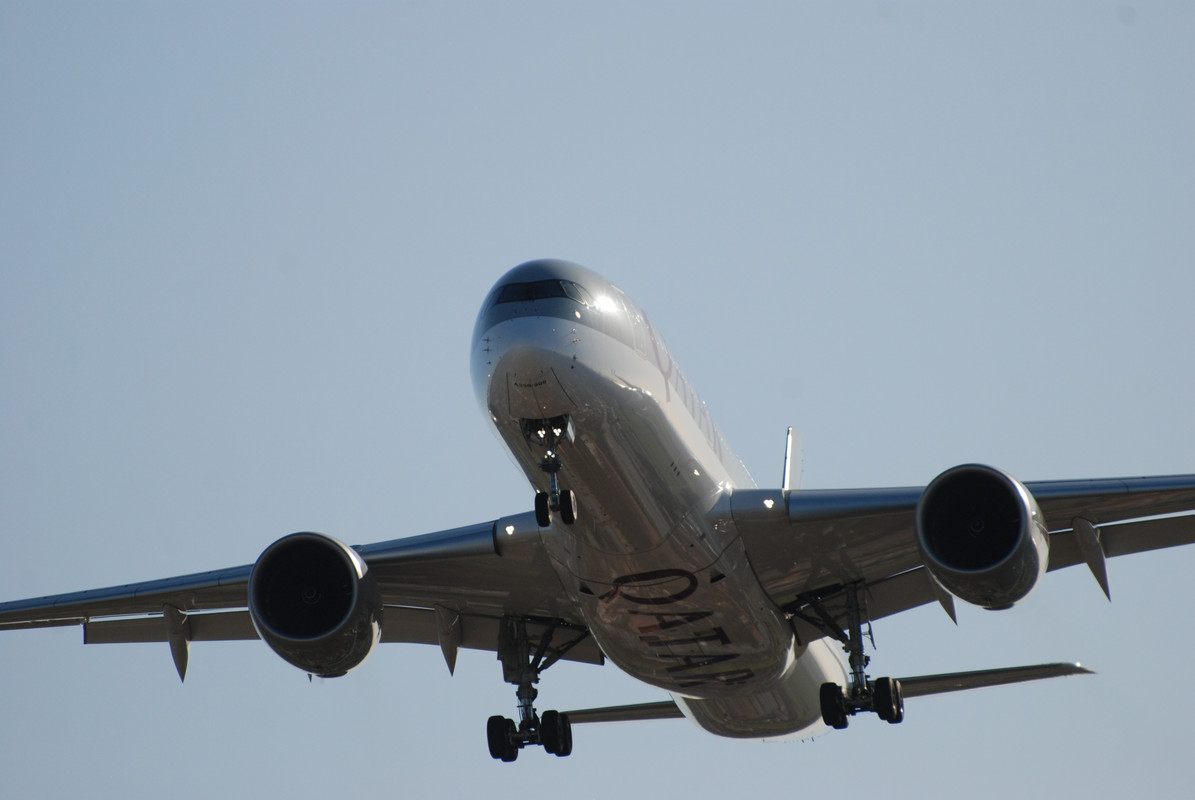 LIRF_14 dicembre 2019 (13)