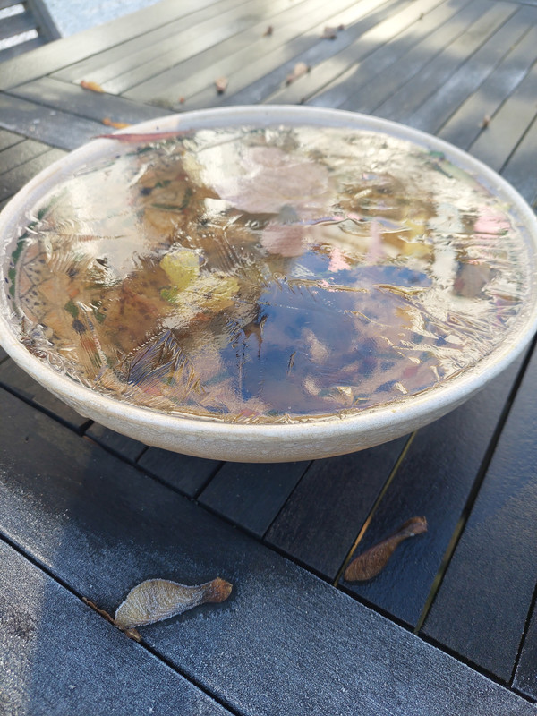 16675545750058669778023368620814