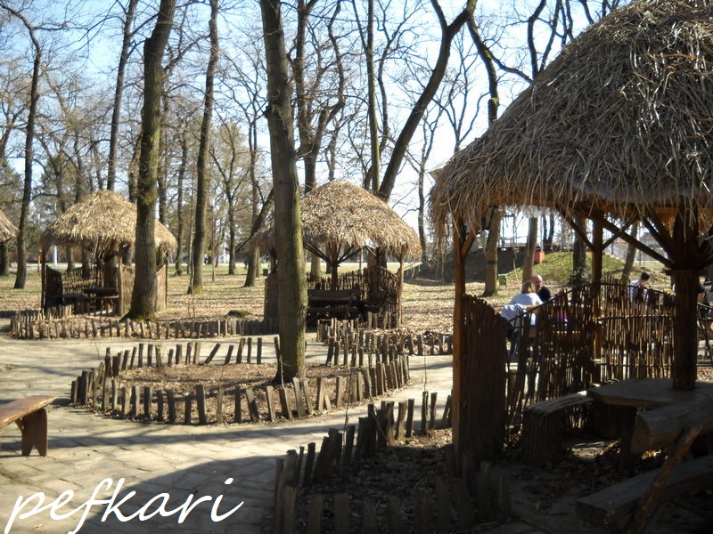 Slika