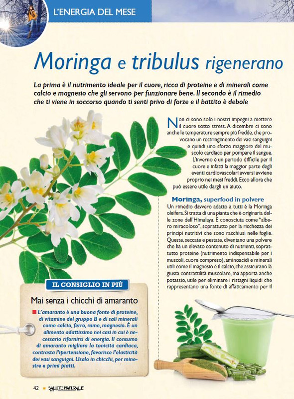 Sal Nat Dic 2021 (7)