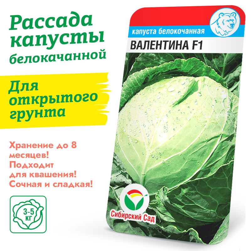 Капуста Валентина