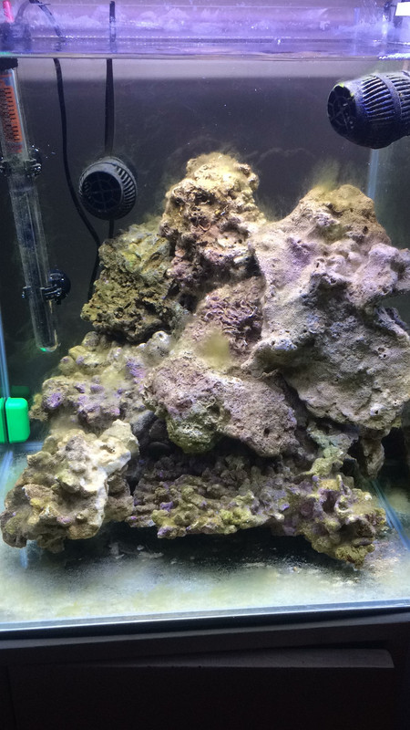 04CDC783-DEF7-4B45-BA93-B7D670E25368