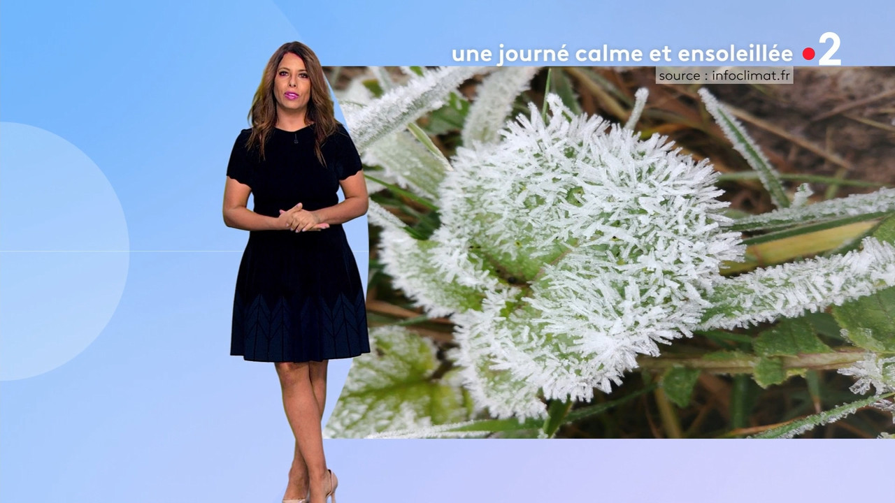 2022-01-14_12_50_Fr2_Meteo.mp4_snapshot_09.47.128