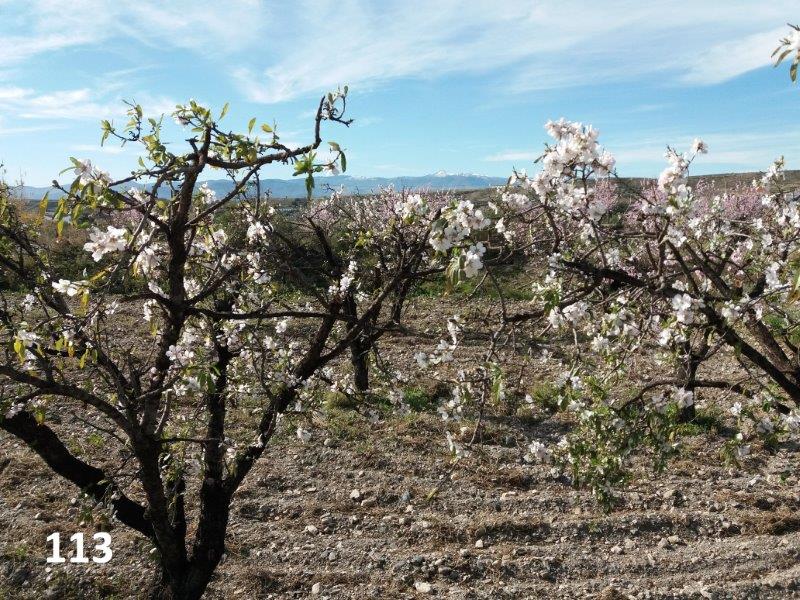 113 ww20200202_121958