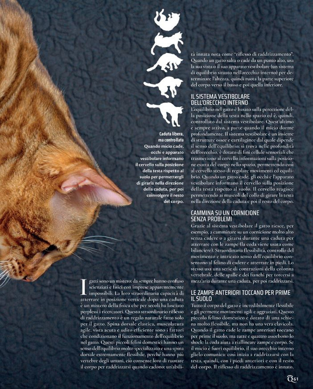 QuattroZampe Lug 2021 (8)