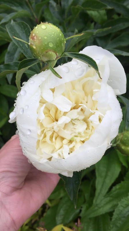 869A965B-4DEF-4EB0-A25A-76195E33D636