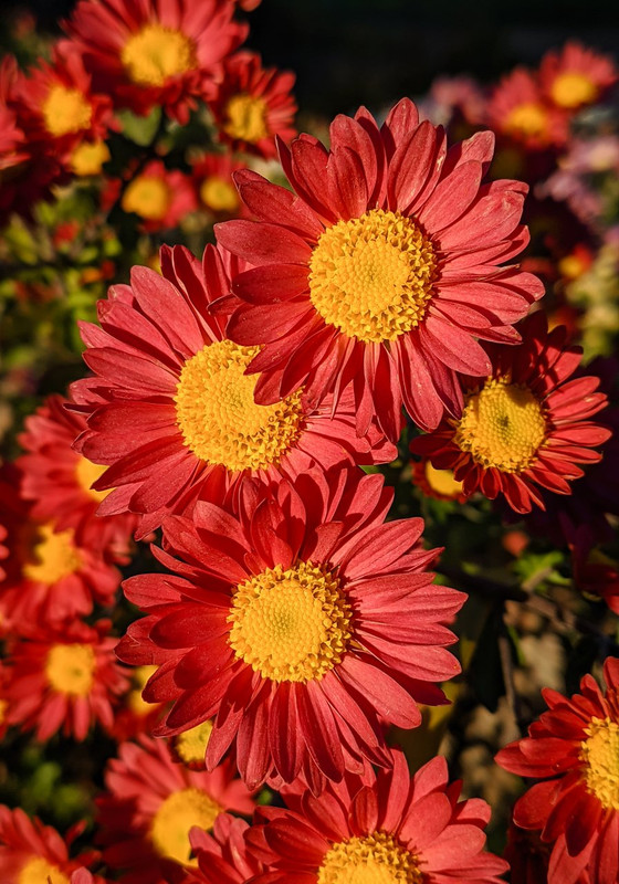 IMG 20221018 170342 — Postimages