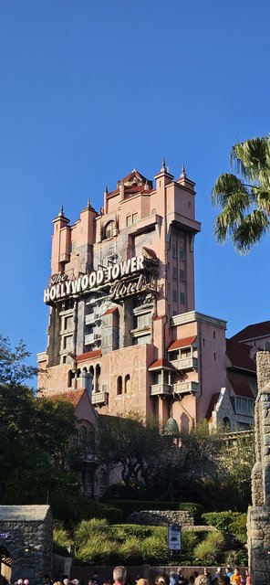 ANIMAL KINGDOM Y HOLLYWOOD STUDIOS - Semana Blanca en Disney World 24/02/24 - 02/03/24 (26)