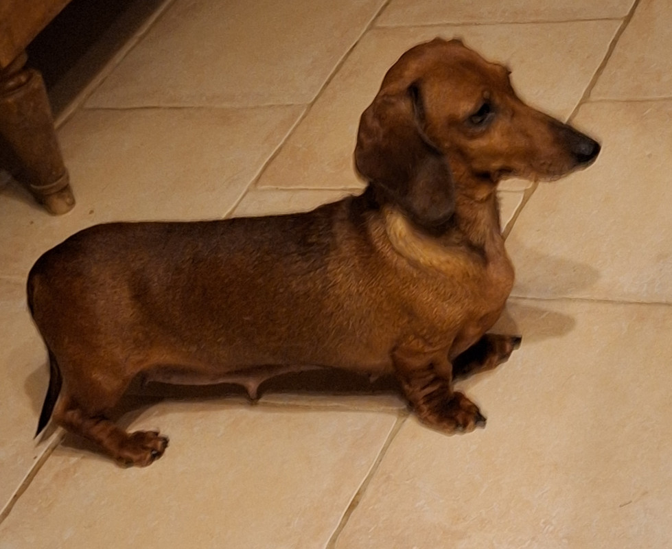 [Image: 20231118-185113.jpg]